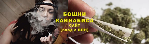 PSILOCYBIN Абаза