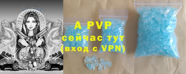 PSILOCYBIN Абаза
