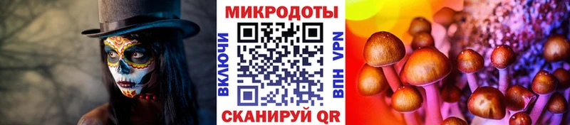 Галлюциногенные грибы GOLDEN TEACHER  что такое наркотик  MEGA рабочий сайт  Рославль 