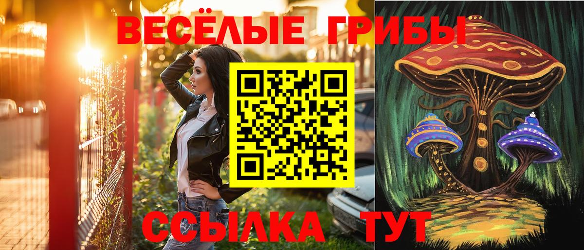 Галлюциногенные грибы прущие грибы  Вход с VPN  Рославль 